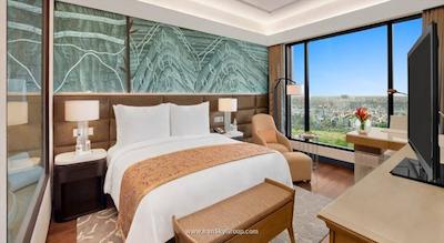 د لیلا امبینس کانیونشن هتل دهلی