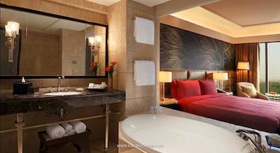 د لیلا امبینس کانیونشن هتل دهلی