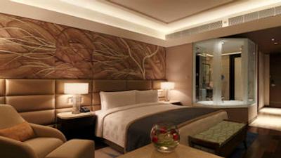 د لیلا امبینس کانیونشن هتل دهلی