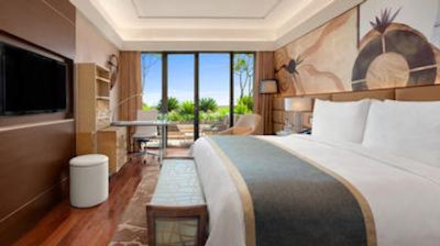 د لیلا امبینس کانیونشن هتل دهلی