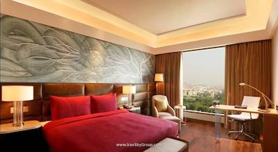 د لیلا امبینس کانیونشن هتل دهلی