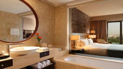 د لیلا امبینس کانیونشن هتل دهلی