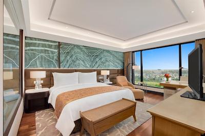 د لیلا امبینس کانیونشن هتل دهلی