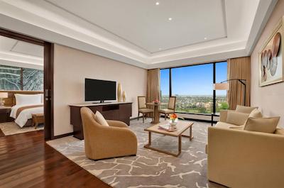 د لیلا امبینس کانیونشن هتل دهلی