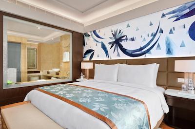 د لیلا امبینس کانیونشن هتل دهلی