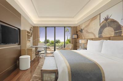 د لیلا امبینس کانیونشن هتل دهلی