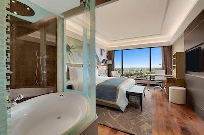 د لیلا امبینس کانیونشن هتل دهلی