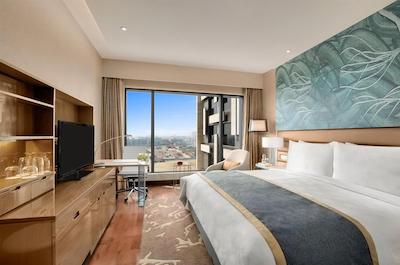 د لیلا امبینس کانیونشن هتل دهلی