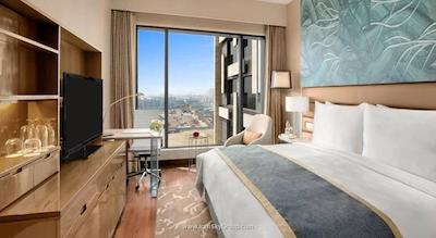 د لیلا امبینس کانیونشن هتل دهلی