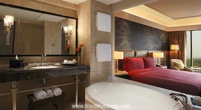 د لیلا امبینس کانیونشن هتل دهلی