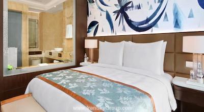 د لیلا امبینس کانیونشن هتل دهلی