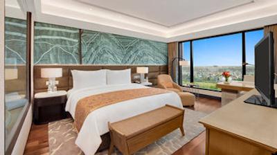 د لیلا امبینس کانیونشن هتل دهلی