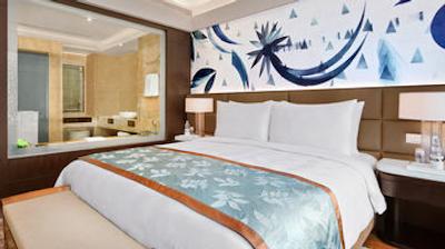 د لیلا امبینس کانیونشن هتل دهلی