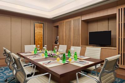 د لیلا امبینس کانیونشن هتل دهلی