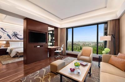 د لیلا امبینس کانیونشن هتل دهلی