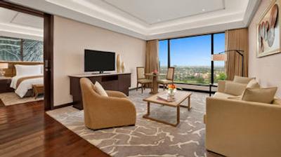 د لیلا امبینس کانیونشن هتل دهلی