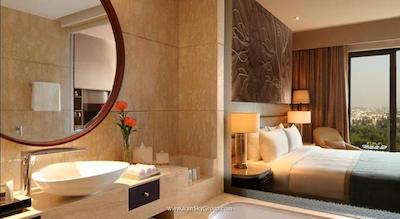 د لیلا امبینس کانیونشن هتل دهلی