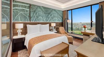 د لیلا امبینس کانیونشن هتل دهلی