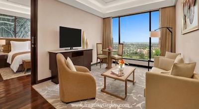 د لیلا امبینس کانیونشن هتل دهلی