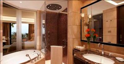 د لیلا امبینس کانیونشن هتل دهلی