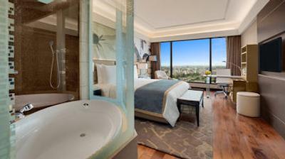 د لیلا امبینس کانیونشن هتل دهلی