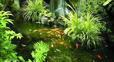 شانگری-لا سنگاپور