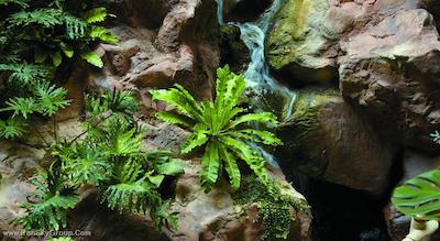 شانگری-لا سنگاپور