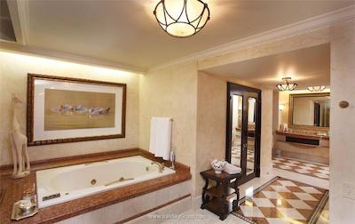 پالاس آو د لاست سیتی