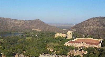 پالاس آو د لاست سیتی