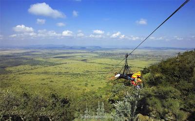 پالاس آو د لاست سیتی