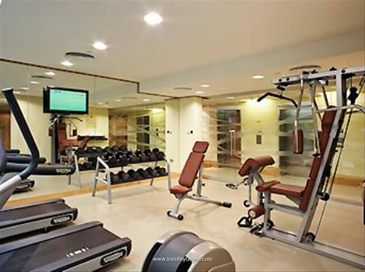 آیبیس ال رقه