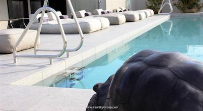 هلا ایکزمپل