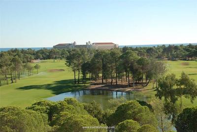 ریو کایا بلک