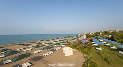 ریو کایا بلک