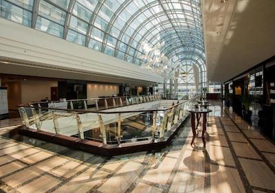 دوسیت تانی دبی