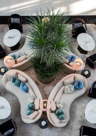 دوسیت تانی دبی