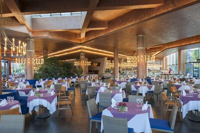 نوح آرک دلوکس هتل اند اسپا