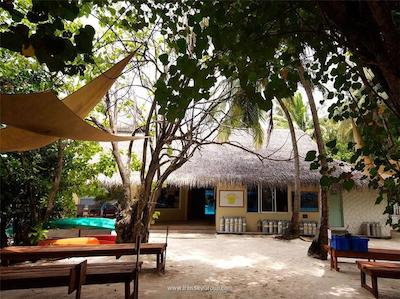 الایدهو مالدیو بای سینامون