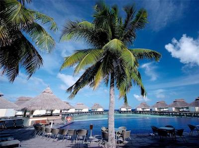 الایدهو مالدیو بای سینامون