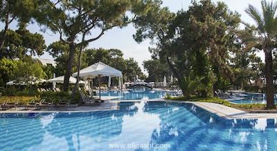 ریکسوس بلدیبی