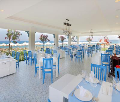 جوجو پریمیر پالاس