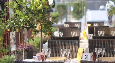 جوجو پریمیر پالاس