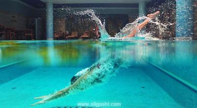 جوجو پریمیر پالاس