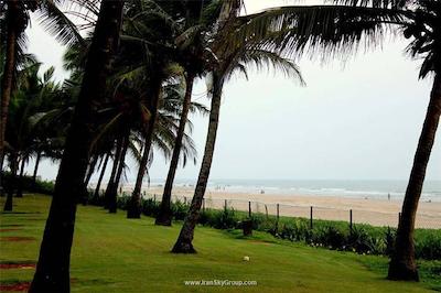 پلنت هالیوود بیچ ریزورت