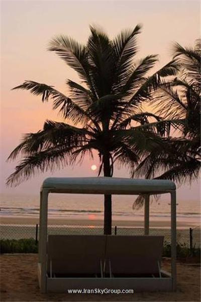 پلنت هالیوود بیچ ریزورت