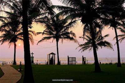 پلنت هالیوود بیچ ریزورت