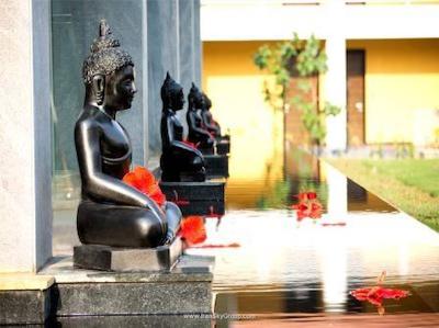 پلنت هالیوود بیچ ریزورت