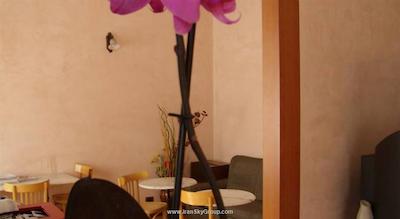 هتل سنترال استیشن