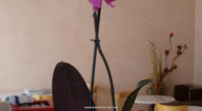 هتل سنترال استیشن