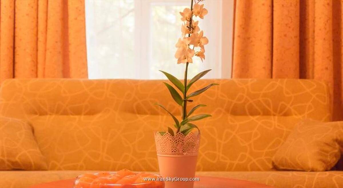 مستر هتل آن پروومیسکایا